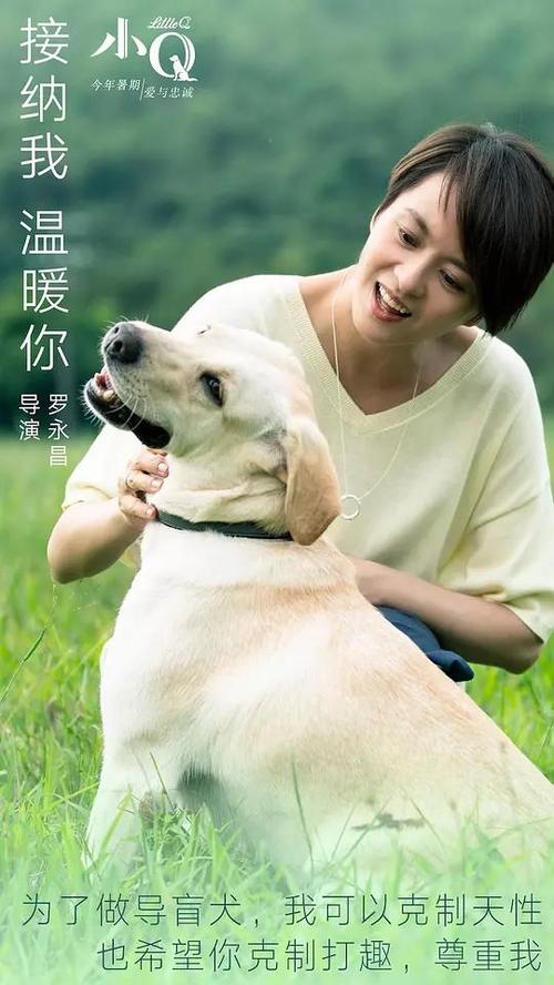 杰得森学院经济学文凭证书